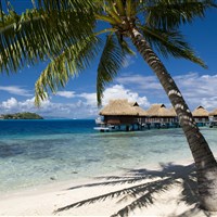 Maitai Polynesia - ostrov Bora Bora - ckmarcopolo.cz