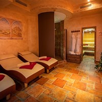 Hotel Schmittenhof (W) - ckmarcopolo.cz