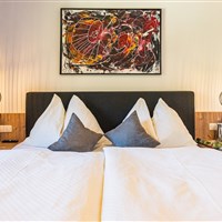 Hotel Schmittenhof (W) - ckmarcopolo.cz