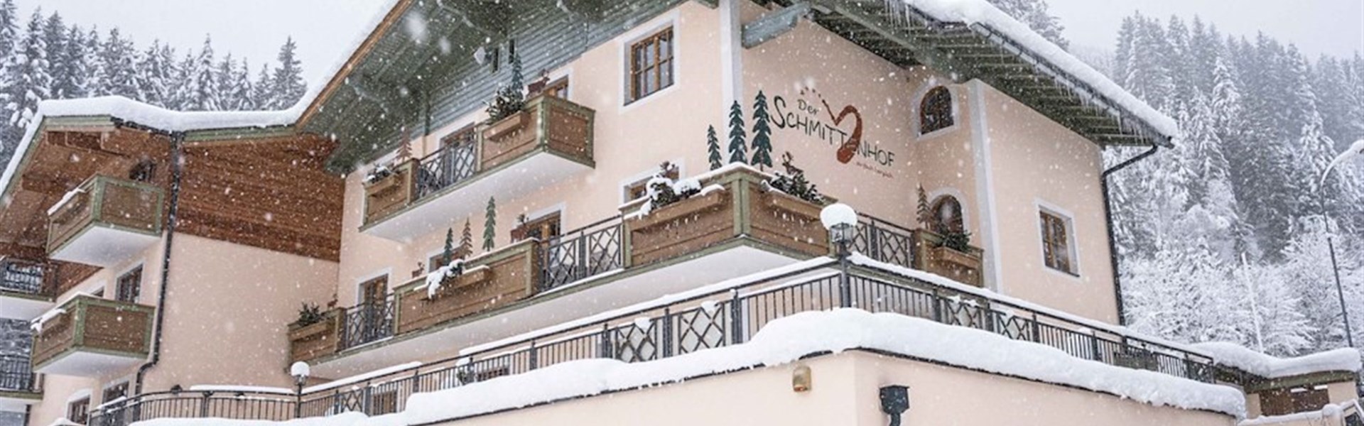 Hotel Schmittenhof (W) - 