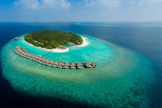 Marco Polo - Dusit Thani Maldives - Dusit Thani Maldives