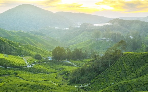 Marco Polo - Cestování bez stresu: 7 důvodů, proč je Malajsie ideální pro první cestu do Asie