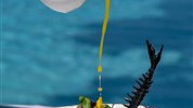 Dusit Thani Maldives - Dusit Thani Maldives