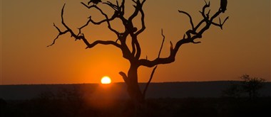  Kruger National Park - 1