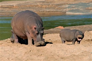  Kruger National Park - 2