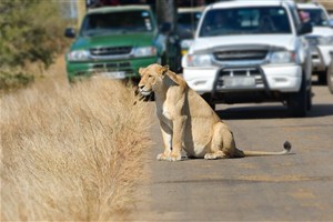  Kruger National Park - 6