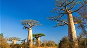 Madagaskar s průvodcem – jeden ostrov, dva světy