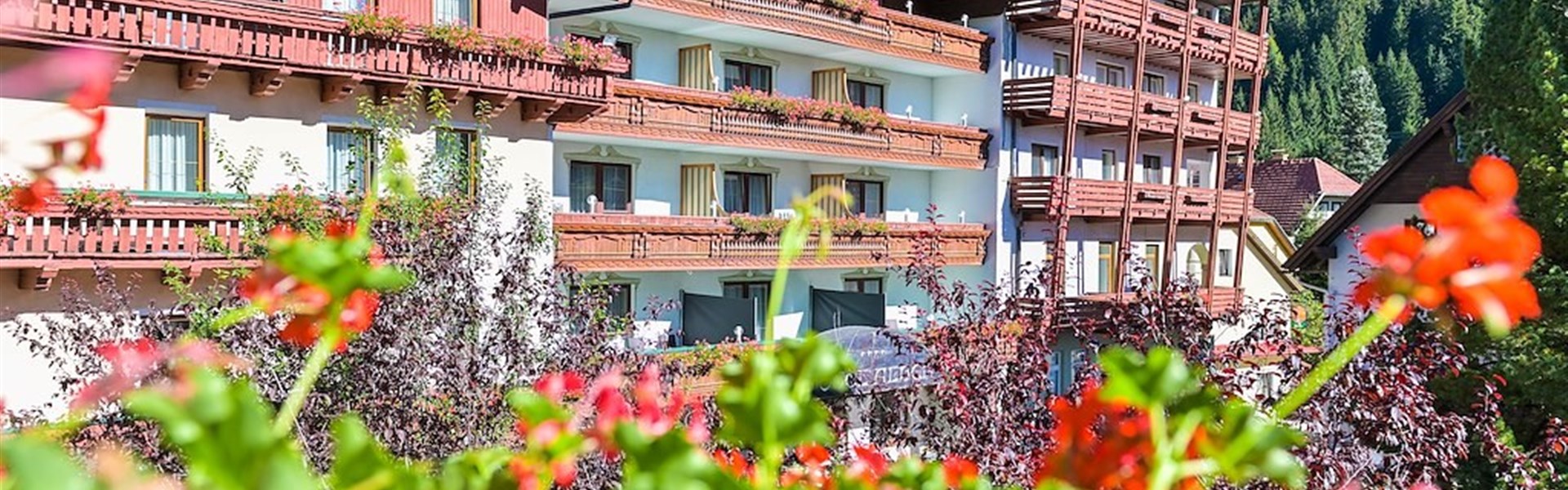 Ferienhotel Alber (S) - 