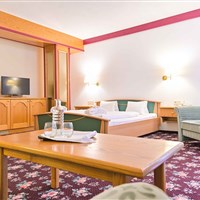 Ferienhotel Alber (W) - ckmarcopolo.cz