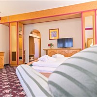 Ferienhotel Alber (W) - ckmarcopolo.cz