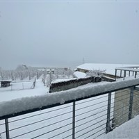 Agritur Anselmi - ckmarcopolo.cz
