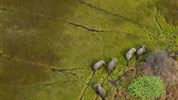 To nejlepší z Botswany - Botswana - sloni z letadla v deltě Okavango