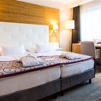 Hotel Ritzlerhof (W) - ckmarcopolo.cz
