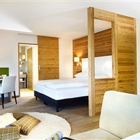 Hotel Ritzlerhof (W) - ckmarcopolo.cz