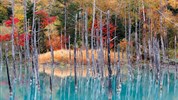 Hokkaidó: Japonský sever v plné kráse - Hokkaido jezero Shirogane