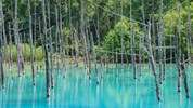 Hokkaidó: Japonský sever v plné kráse - Hokkaido Shirogane
