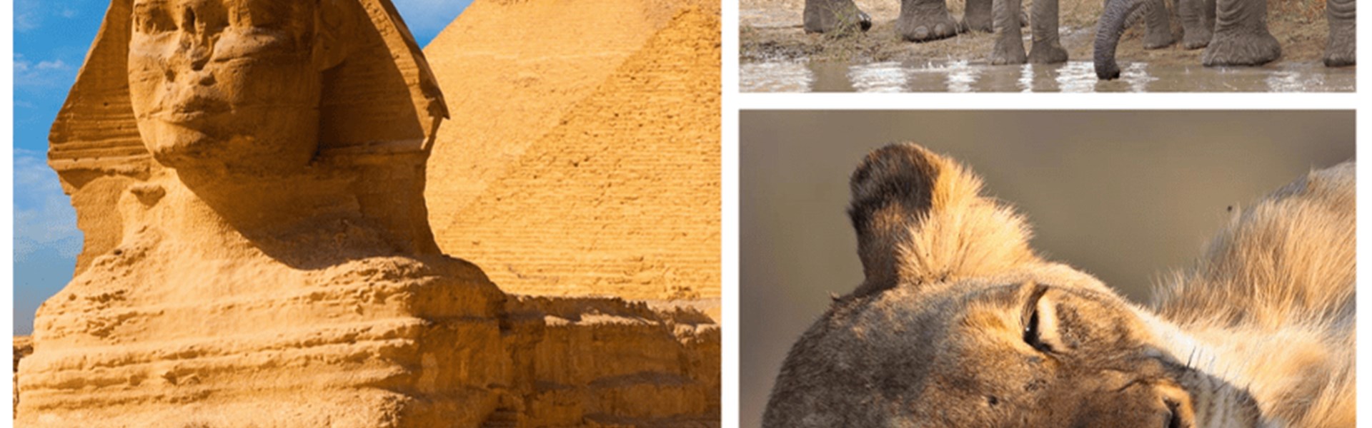 Fascinující kombinace - Pyramidy v Káhiře a safari v Keni - Egypt a Keňa