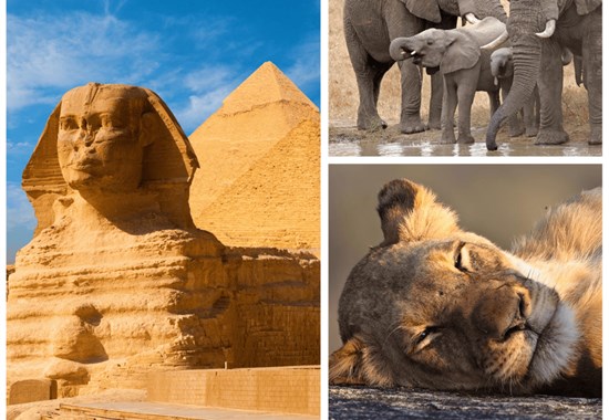 Fascinující kombinace - Pyramidy v Káhiře a safari v Keni - Cairo - Egypt a Keňa