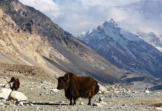 Tibet a Mount Everest - 8denní dobrodružství s průvodcem - Asie