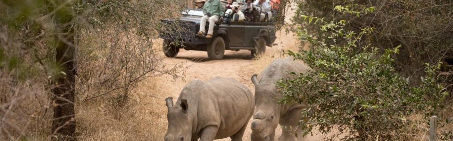 Marco Polo - Shiduli Private Game Lodge 5* - Jihoafrická republika_Mpumalanga_Shiduli Private Game Lodge_