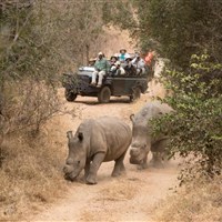 Shiduli Private Game Lodge 5* - Jihoafrická republika_Mpumalanga_Shiduli Private Game Lodge_ - ckmarcopolo.cz