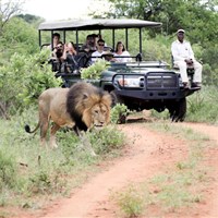 Shiduli Private Game Lodge 5* - Jihoafrická republika_Mpumalanga_Shiduli Private Game Lodge_ - ckmarcopolo.cz