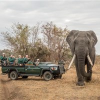 Shiduli Private Game Lodge 5* - Jihoafrická republika_Mpumalanga_Shiduli Private Game Lodge_ - ckmarcopolo.cz
