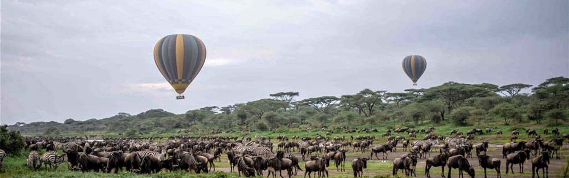 Marco Polo - Let balónem v Serengeti - Tanzanie_Serengeti_Tarangire_Balón