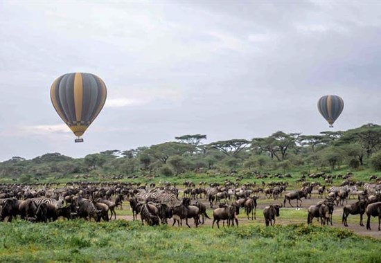 Let balónem v Serengeti - Tanzanie - Tanzanie_Serengeti_Tarangire_Balón