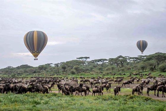 Marco Polo - Let balónem v Serengeti - Tanzanie_Serengeti_Tarangire_Balón