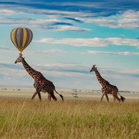 Let balónem v Serengeti - Tanzanie_Serengeti_Tarangire_Balón - ckmarcopolo.cz