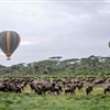 Let balonem v Serengeti