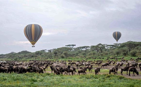 Marco Polo - Let balónem nad Serengeti a Tarangire – nejkrásnější safari v Tanzanii