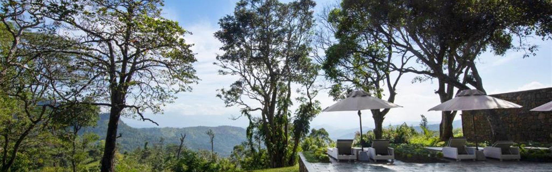 Marco Polo - W15 Hanthana Estate Kandy_ - Srí Lanka_Kandy_W15 Hanthana Estate Kandy
