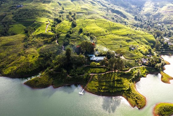 Marco Polo - Ceylon Tea Trails - Srí Lanka_Hatton_Ceylon Tea Trails_