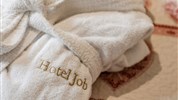 Hotel Job - Garden & Spa ***