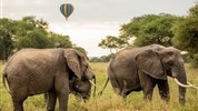 Let balónem v Tarangire - Tanzanie_let balonem