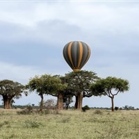 Let balónem v Tarangire - Tanzanie_Tarangire_balon - ckmarcopolo.cz