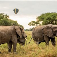 Let balónem v Tarangire - Tanzanie_Tarangire_balon - ckmarcopolo.cz