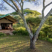 Karibu Woodlands Southern Serengeti - Tanzanie_Serengeti_Ndutu_Woodlands Camp - ckmarcopolo.cz