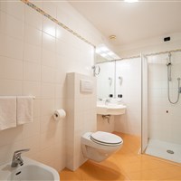 Hotel Dolomites Inn - ckmarcopolo.cz