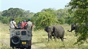Poznejte elegantní Srí Lanku a odpočiňte si na Maledivách - Srí Lanka_Minneriya_safari