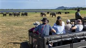 Poznejte elegantní Srí Lanku a odpočiňte si na Maledivách - Srí Lanka_Minneriya_safari