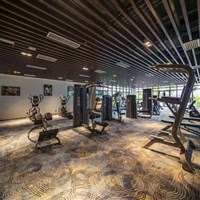 Forest City Golf Hotel - ckmarcopolo.cz