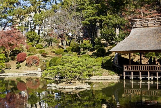 Marco Polo - Diamond Princess - 