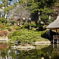 Diamond Princess - ckmarcopolo.cz