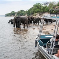 Zambezi Queen loď na řece Zambezi - Bostwana_Chobe_Zambezi Queen - ckmarcopolo.cz