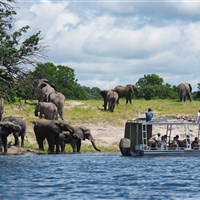 Zambezi Queen loď na řece Zambezi - Bostwana_Chobe_Zambezi Queen - ckmarcopolo.cz
