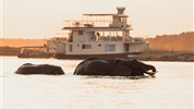 Chobe Princess - loď na řece Zambezi - Botswana_Chobe_Chobe Princess_podvečer