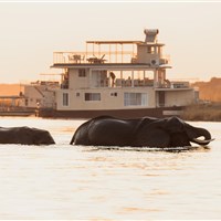 Chobe Princess loď na řece Zambezi - Botswana_Chobe_Chobe Princess_podvečer - ckmarcopolo.cz